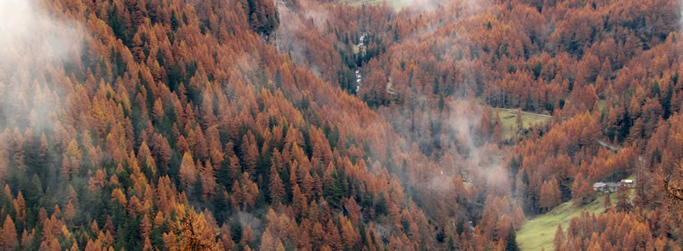 Brusson e la Val d'Ayas