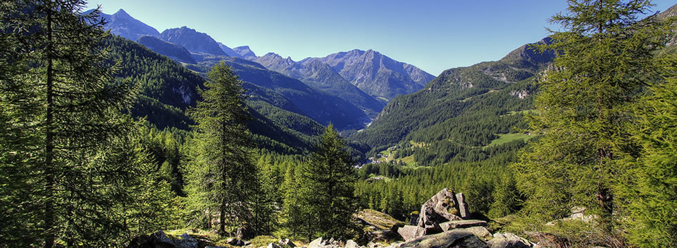 Previsoni per i prossimi 7 giorni e webcam in tempo reale